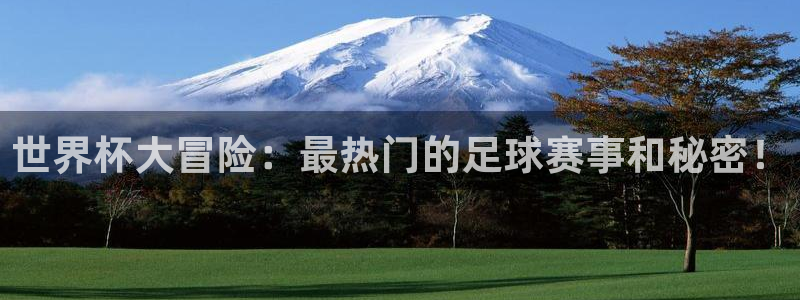 世界杯欧洲区预选赛：世界杯大冒险：最热门的足球赛事和秘密！
