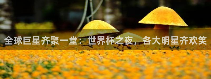 世界杯预赛赛程：全球巨星齐聚一堂：世界杯之夜，各大明星齐欢笑