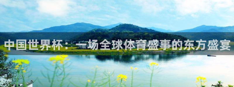 世界杯直播平台：中国世界杯：一场全球体育盛事的东方盛宴