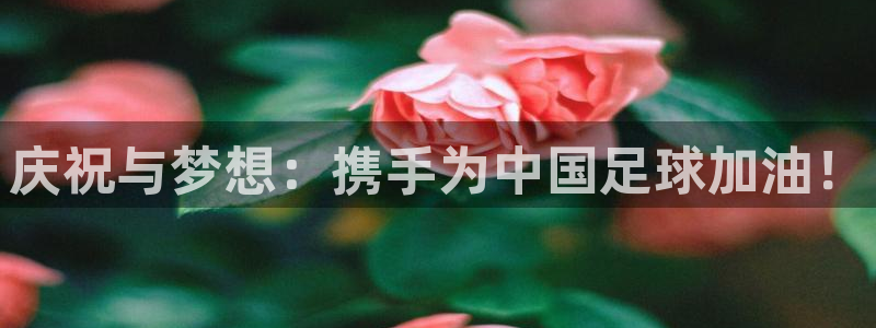 世界杯欧洲预选赛：庆祝与梦想：携手为中国足球加油！