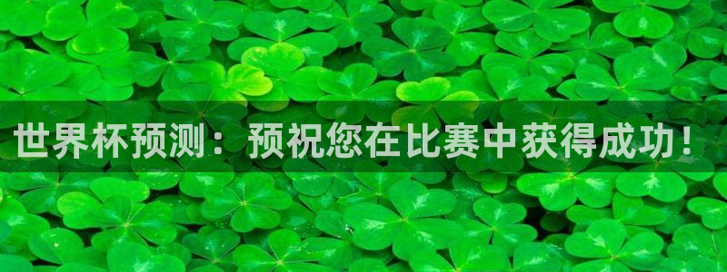 世界杯预选赛2026：世界杯预测：预祝您在比赛中获得成功！