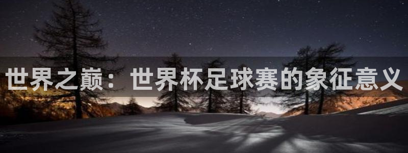 2026年男足世界杯：世界之巅：世界杯足球赛的象征意义