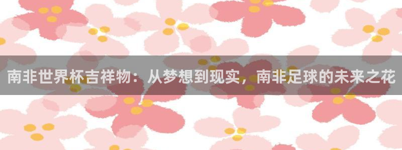 世界杯足球直播：南非世界杯吉祥物：从梦想到现实，南非足球的未来之花