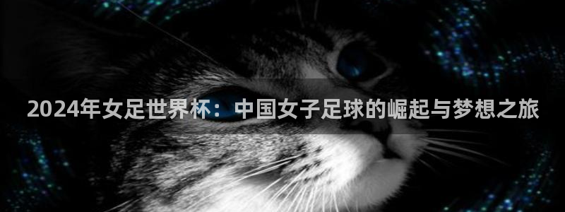 世界杯预选赛：2024年女足世界杯：中国女子足球的崛起与梦想之旅