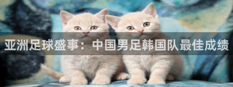 免费足球比赛直播高清：亚洲足球盛事：中国男足韩国队最佳成绩