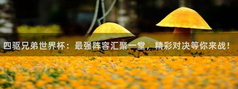 2026世界杯赛程表完整版：四驱兄弟世界杯：最强阵容汇聚一堂，精彩对决等你来战！