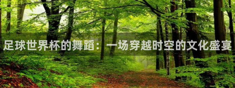 世界杯欧洲区预选赛赛程：足球世界杯的舞蹈：一场穿越时空的文化盛宴