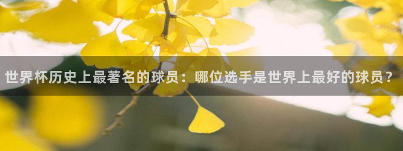 世界杯预选赛2026：世界杯历史上最著名的球员：哪位选手是世界上最好的球员？