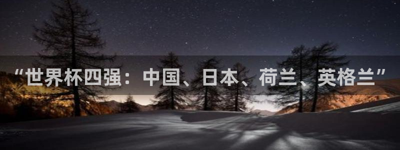 世界杯赛程2026：“世界杯四强：中国、日本、荷兰、英格兰”