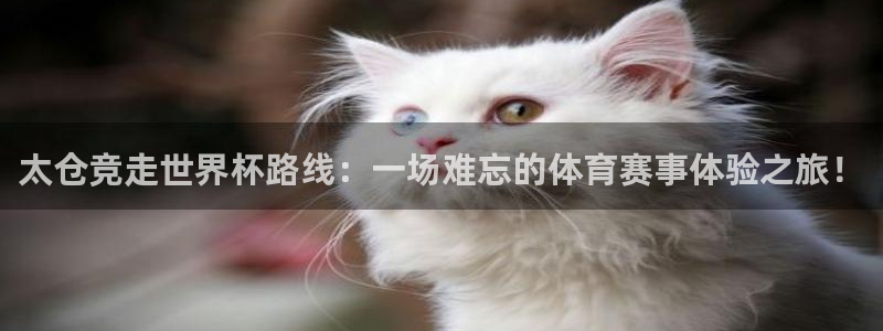欧洲世界杯预选赛：太仓竞走世界杯路线：一场难忘的体育赛事体验之旅！