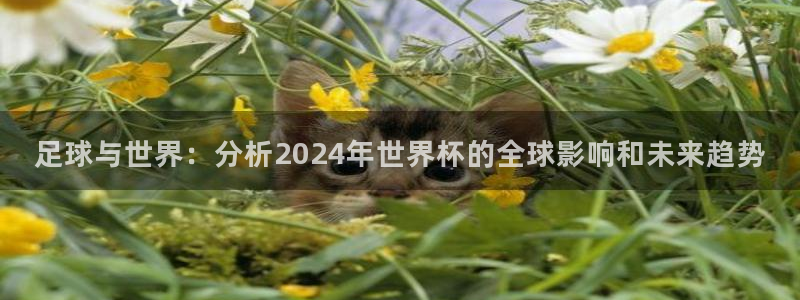 2006年世界杯：足球与世界：分析2024年世界杯的全球影响和未来趋势