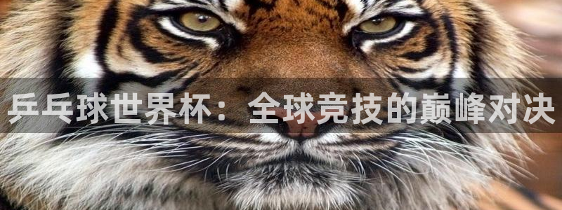 2026足球世界杯：乒乓球世界杯：全球竞技的巅峰对决
