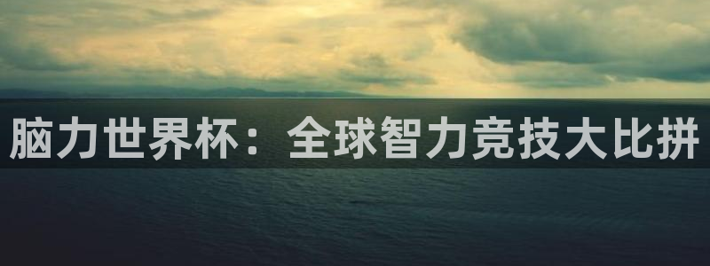 2006年世界杯冠军：脑力世界杯：全球智力竞技大比拼