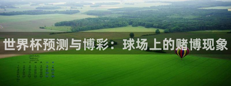 2026世界杯亚洲预选赛：世界杯预测与博彩：球场上的赌博现象