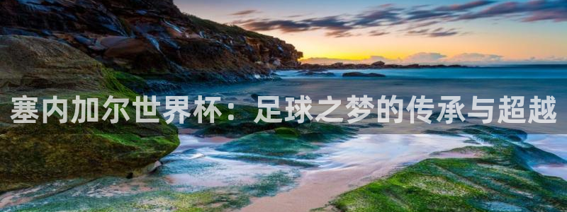 中国 世界杯：塞内加尔世界杯：足球之梦的传承与超越